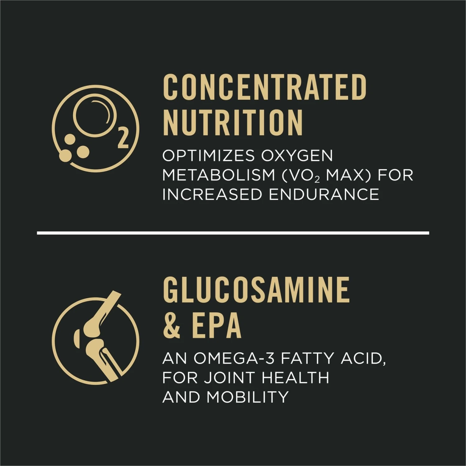 Purina Pro Plan Sport Performance Senior High-Protein 30/17 Chicken & Rice Formula Dog Food 11 Purina Pro Plan Sport Performance Senior High-Protein 30/17 Chicken & Rice Formula Dog Food - Image 9