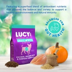 Lucy Pet Products Chicken, Brown Rice & Pumpkin Limited Ingredient Diet Small Bites Dog Food, 4.5-lbs Bag 11 Lucy Pet Products Chicken, Brown Rice & Pumpkin Limited Ingredient Diet Small Bites Dog Food, 4.5-lbs Bag -Snuggle Paws 353159 PT2. AC SS1800 V1641605495