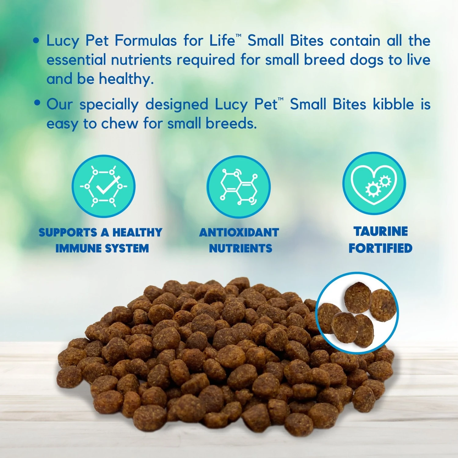 Lucy Pet Products Chicken, Brown Rice & Pumpkin Limited Ingredient Diet Small Bites Dog Food, 4.5-lbs Bag 6 Lucy Pet Products Chicken, Brown Rice & Pumpkin Limited Ingredient Diet Small Bites Dog Food, 4.5-lbs Bag - Image 4