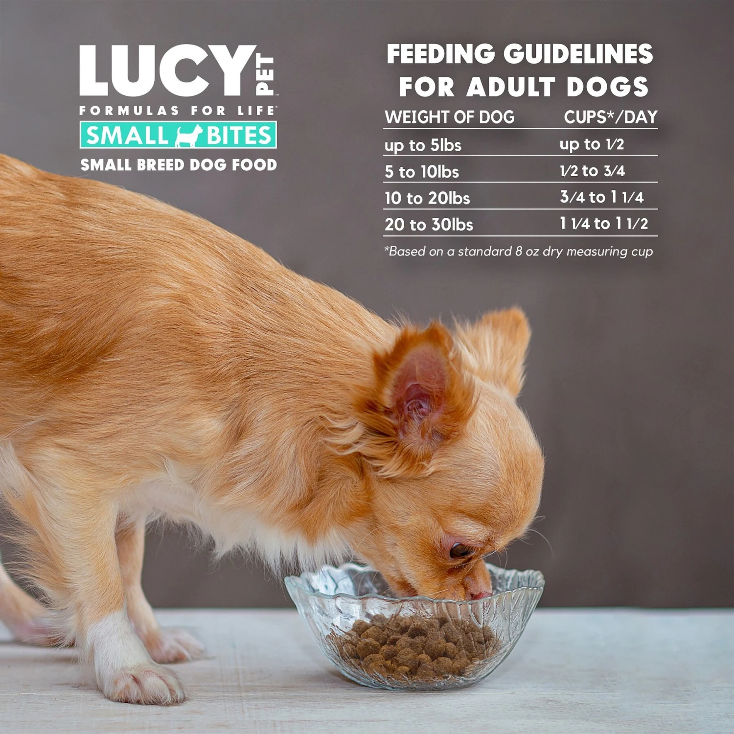 Lucy Pet Products Chicken, Brown Rice & Pumpkin Limited Ingredient Diet Small Bites Dog Food, 4.5-lbs Bag 9 Lucy Pet Products Chicken, Brown Rice & Pumpkin Limited Ingredient Diet Small Bites Dog Food, 4.5-lbs Bag - Image 7