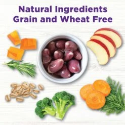 Wellness CORE Digestive Health Wholesome Grains Chicken & Brown Rice Recipe Dry Dog Food & Wellness CORE Bowl Boosters Digestive Health Dry Dog Food Topper, 4-oz Bag -Snuggle Paws 353436 PT4. AC SS1800 V1703195468