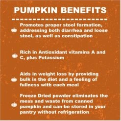 Whole Life Natural Solutions Pumpkin Powder Dog & Cat Freeze-Dried Treats, 2-oz Bag -Snuggle Paws 354099 PT2. AC SS1800 V1673988234