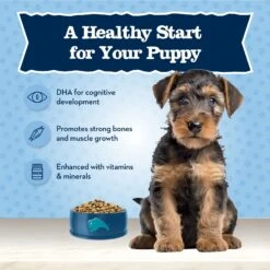 Blue Buffalo Baby Blue Healthy Growth Formula Natural Chicken & Brown Rice Recipe Puppy Dry Food 14 Blue Buffalo Baby Blue Healthy Growth Formula Natural Chicken & Brown Rice Recipe Puppy Dry Food -Snuggle Paws 354131 PT3. AC SS1800 V1704319768