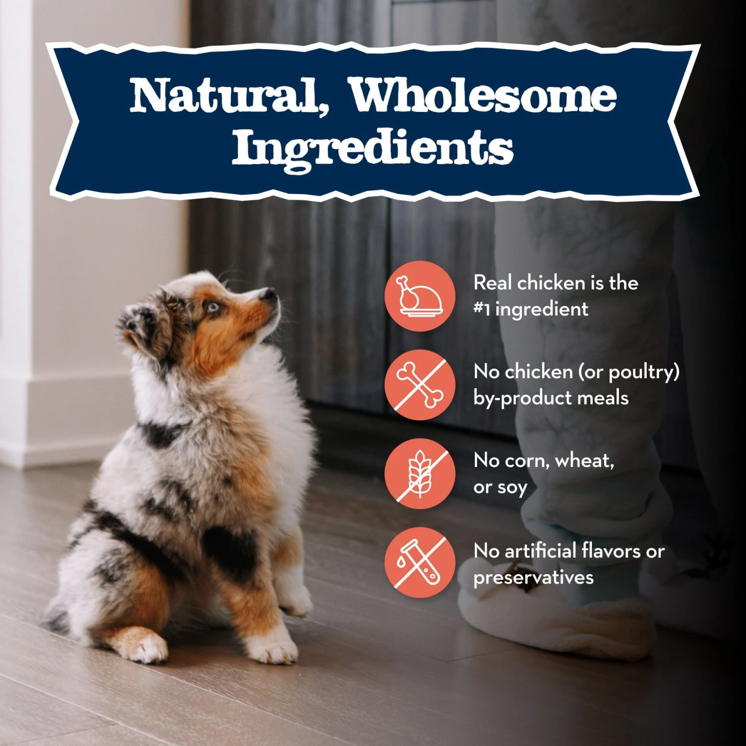 Blue Buffalo Baby Blue Large Breed Healthy Growth Formula Natural Chicken & Brown Rice Recipe Puppy Dry Food, 24-lb Bag 8 Blue Buffalo Baby Blue Large Breed Healthy Growth Formula Natural Chicken & Brown Rice Recipe Puppy Dry Food, 24-lb Bag - Image 6