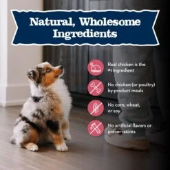 Blue Buffalo Baby Blue Small Breed Healthy Growth Formula Natural Chicken & Oatmeal Rice Recipe Puppy Dry Food, 4-lb Bag -Snuggle Paws 354134 PT5. AC SS1800 V1646088416