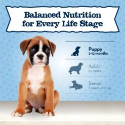 Blue Buffalo Baby Blue Small Breed Healthy Growth Formula Natural Chicken & Oatmeal Rice Recipe Puppy Dry Food, 4-lb Bag -Snuggle Paws 354134 PT7. AC SS1800 V1646086909