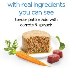 Purina Beneful Infused Pate With Real Lamb, Carrots & Spinach Wet Dog Food, 3-oz Tray, Case Of 24 -Snuggle Paws 354319 PT2. AC SS1800 V1639503419