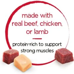 Purina Beneful Infused Pate With Real Lamb, Chicken, Beef Variety Pack Wet Dog Food, 3-oz Can, Case Of 24 15 Purina Beneful Infused Pate With Real Lamb, Chicken, Beef Variety Pack Wet Dog Food, 3-oz Can, Case Of 24 -Snuggle Paws 354321 PT4. AC SS1800 V1639503399