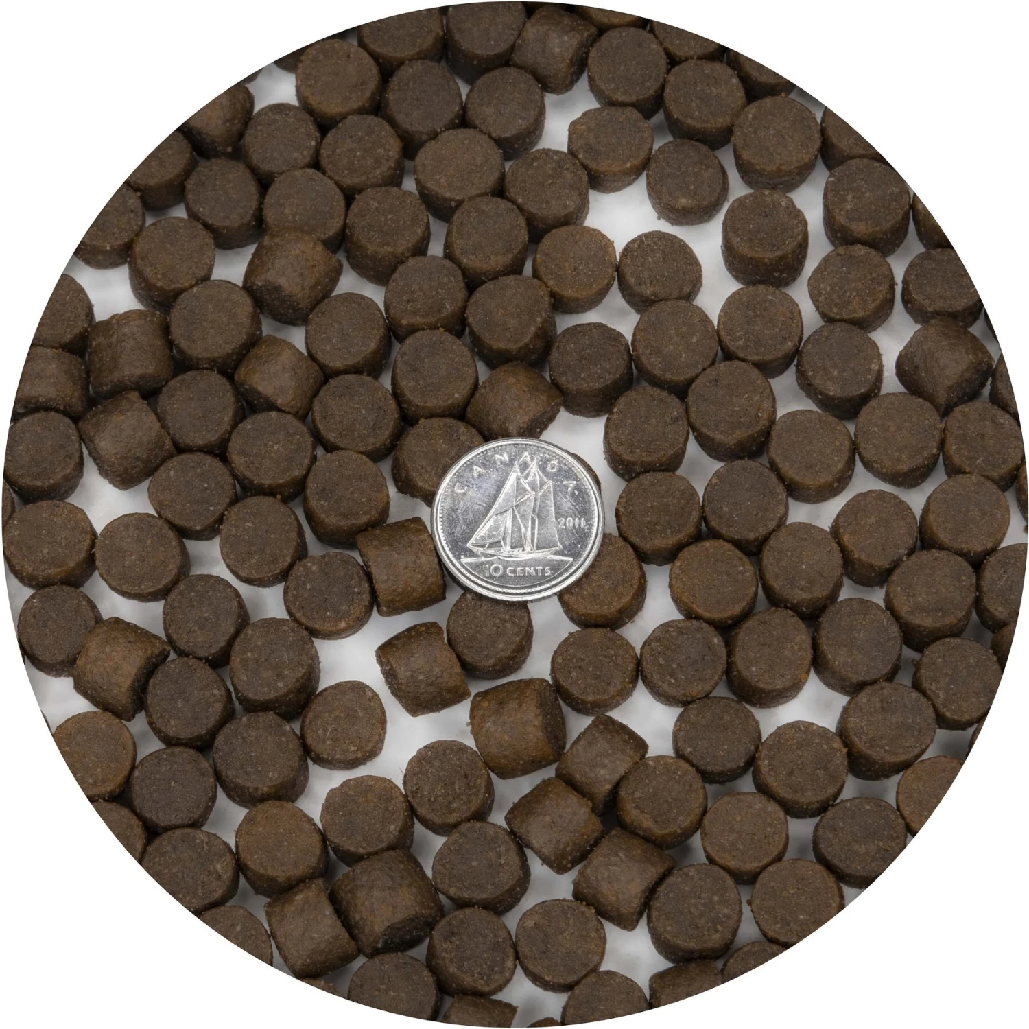 Inukshuk Professional Performance Marine 25 Dry Dog Food, 33-lb Bag 5 Inukshuk Professional Performance Marine 25 Dry Dog Food, 33-lb Bag - Image 3