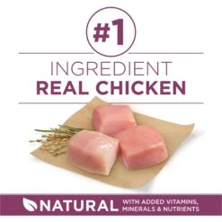 Purina ONE +Plus High Protein Healthy Puppy Formula Dry Puppy Food -Snuggle Paws 355892 PT3. AC SS1800 V1640227661