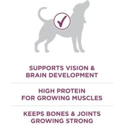 Purina ONE +Plus High Protein Healthy Puppy Formula Dry Puppy Food -Snuggle Paws 355892 PT4. AC SS1800 V1640206599