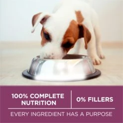 Purina ONE +Plus High Protein Healthy Puppy Formula Dry Puppy Food -Snuggle Paws 355892 PT6. AC SS1800 V1640214685