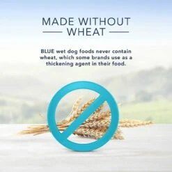 Blue Buffalo Homestyle Recipe Chicken Dinner With Garden Vegetables & Brown Rice Canned Dog Food & Blue Buffalo Homestyle Recipe Beef Dinner With Garden Vegetables & Sweet Potatoes Canned Dog Food -Snuggle Paws 356837 PT8. AC SS1800 V1640899944