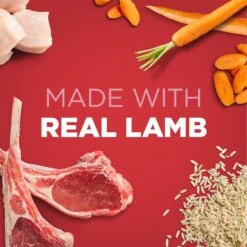 Iams ProActive Health Classic Ground With Chicken & Whole Grain Rice Adult Wet Dog Food & Iams ProActive Health Classic Ground With Lamb & Whole Grain Rice Adult Wet Dog Food -Snuggle Paws 356839 PT3. AC SS1800 V1658719175