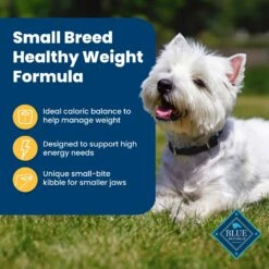 Blue Buffalo Life Protection Formula Small Breed Healthy Weight Adult Chicken & Brown Rice Recipe Dry Dog Food -Snuggle Paws 361629 PT3. AC SS1800 V1704319835