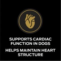 Purina Pro Plan Veterinary Diets CC CardioCare High Protein Chicken Flavor Dry Dog Food 14 Purina Pro Plan Veterinary Diets CC CardioCare High Protein Chicken Flavor Dry Dog Food -Snuggle Paws 362191 PT3. AC SS1800 V1674852068