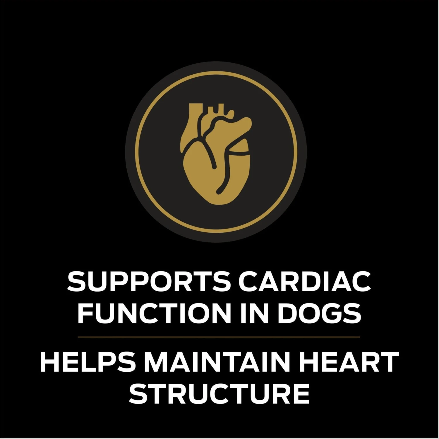 Purina Pro Plan Veterinary Diets CC CardioCare High Protein Chicken Flavor Dry Dog Food 6 Purina Pro Plan Veterinary Diets CC CardioCare High Protein Chicken Flavor Dry Dog Food - Image 4