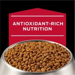 Purina Pro Plan Veterinary Diets CC CardioCare High Protein Chicken Flavor Dry Dog Food 19 Purina Pro Plan Veterinary Diets CC CardioCare High Protein Chicken Flavor Dry Dog Food -Snuggle Paws 362191 PT8. AC SS1800 V1674676642