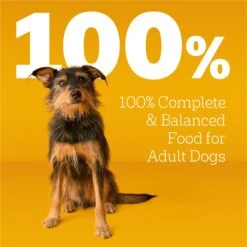 Pedigree Complete Nutrition Roasted Chicken, Rice & Vegetable Flavor Dog Kibble Adult Dry Dog Food -Snuggle Paws 362466 PT8. AC SS1800 V1668026553