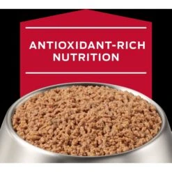Purina Pro Plan Veterinary Diets CC Cardiocare Canine Formula Chicken Flavor Canned Dog Food, 13-oz, Case Of 12 -Snuggle Paws 362729 PT7. AC SS1800 V1700160211