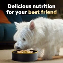 Cesar Wholesome Bowls Variety Pack Beef, Chicken, Carrots, Barley & Green Beans Recipe & Chicken, Apple & Sweet Potato Recipe Small Breed Adult Soft Wet Dog Food -Snuggle Paws 362798 PT7. AC SS1800 V1695655155