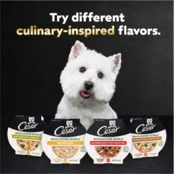 Cesar Wholesome Bowls Variety Pack Beef, Chicken, Carrots, Barley & Green Beans Recipe & Chicken, Apple & Sweet Potato Recipe Small Breed Adult Soft Wet Dog Food -Snuggle Paws 362798 PT8. AC SS1800 V1695676351