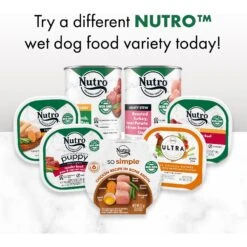 Nutro So Simple Meal Complement Chicken & Duck Recipe In Bone Broth Grain-Free Adult Wet Dog Food Topper -Snuggle Paws 363762 PT8. AC SS1800 V1702666009