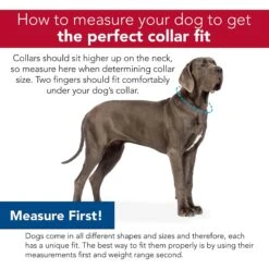 SecureAway Dog Flea Collar Protector -Snuggle Paws 363894 PT6. AC SS1800 V1643253464