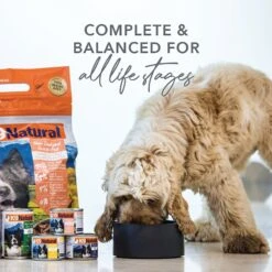 K9 Natural Hoki & Beef Grain-Free Canned Dog Food -Snuggle Paws 363951 PT2. AC SS1800 V1643672229