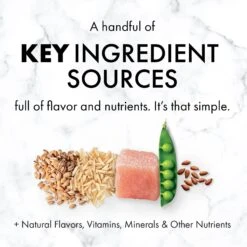 Nutro SO SIMPLE Adult Chicken & Rice Recipe Natural Dry Dog Food -Snuggle Paws 366847 PT4. AC SS1800 V1702666771