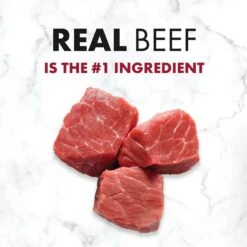 Nutro SO SIMPLE Adult Beef & Rice Recipe Natural Dry Dog Food -Snuggle Paws 366852 PT2. AC SS1800 V1702666794