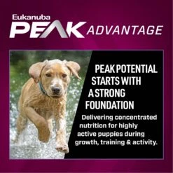Eukanuba Premium Performance Pro Puppy Dry Dog Food -Snuggle Paws 367115 PT3. AC SS1800 V1661528755