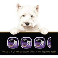 Cesar Classic Loaf In Sauce Grilled Chicken Flavor Grain-Free Small Breed Adult Wet Dog Food Trays -Snuggle Paws 367198 PT6. AC SS1800 V1644373315