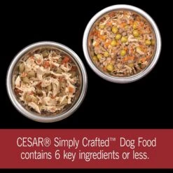 Cesar Simply Crafted Variety Pack Chicken, Carrots & Green Beans & Beef, Chicken, Purple Potatoes, Peas & Carrots Wet Dog Food Topper, 1.3-oz Can, 16 Count -Snuggle Paws 367307 PT3. AC SS1800 V1644364007