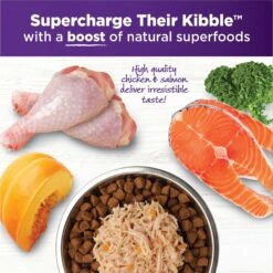 Wellness Bowl Boosters Simply Shreds Chicken, Beef & Carrots Natural Grain-Free Wet Dog Food Mixer Or Topper, 2.8-oz Pouch, Case Of 12 & Wellness Bowl Boosters Simply Shreds Chicken, Salmon & Pumpkin Natural Grain-Free Wet Dog Food Mixer Or Topper, 2.8-oz Pouch, Case Of 12 -Snuggle Paws 367552 PT6. AC SS1800 V1674053875