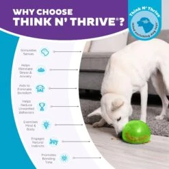 Planet Dog Orbee-Tuff Snoop Interactive Treat Dispensing Dog Toy -Snuggle Paws 367753 PT5. AC SS1800 V1687966996