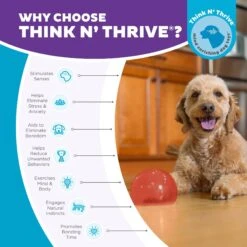 Planet Dog Orbee-Tuff Lil' Snoop Interactive Treat Dispensing Dog Toy 14 Planet Dog Orbee-Tuff Lil' Snoop Interactive Treat Dispensing Dog Toy -Snuggle Paws 367755 PT5. AC SS1800 V1687966990