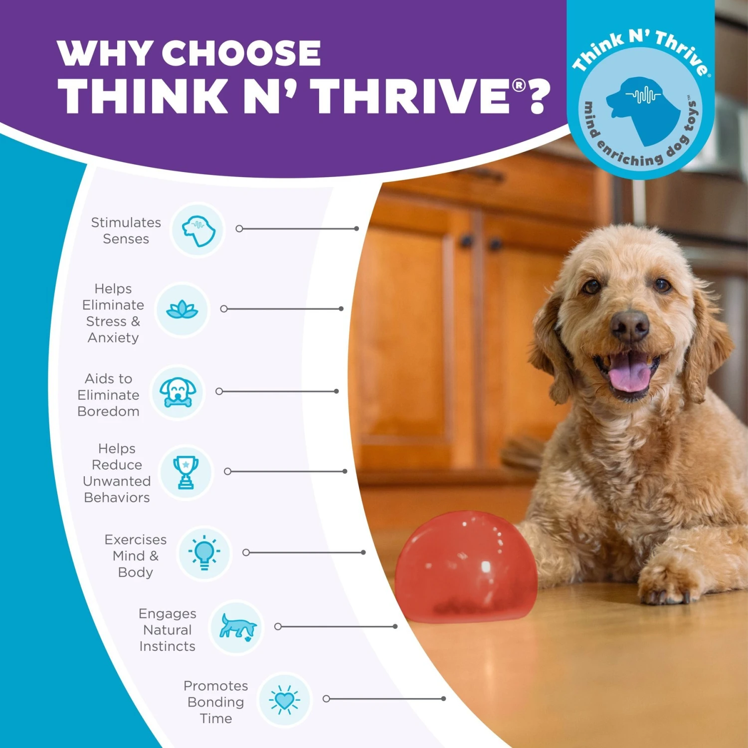 Planet Dog Orbee-Tuff Lil' Snoop Interactive Treat Dispensing Dog Toy 8 Planet Dog Orbee-Tuff Lil' Snoop Interactive Treat Dispensing Dog Toy - Image 6