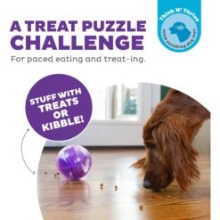 Planet Dog Orbee-Tuff Mazee Interactive Treat Dispensing Puzzle Dog Toy 10 Planet Dog Orbee-Tuff Mazee Interactive Treat Dispensing Puzzle Dog Toy -Snuggle Paws 367757 PT1. AC SS1800 V1644529893