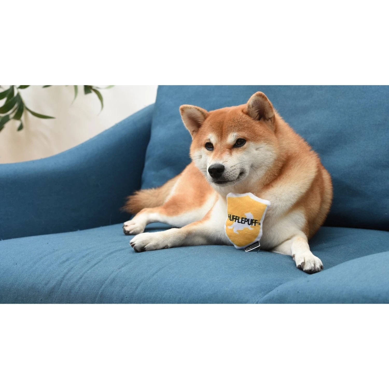 Fetch For Pets Harry Potter House Sorting Hat Burrow Dog Toy 11 Fetch For Pets Harry Potter House Sorting Hat Burrow Dog Toy - Image 9