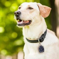 Pet Parade Dog Tick & Flea Repeller -Snuggle Paws 367859 PT6. AC SS1800 V1645493571