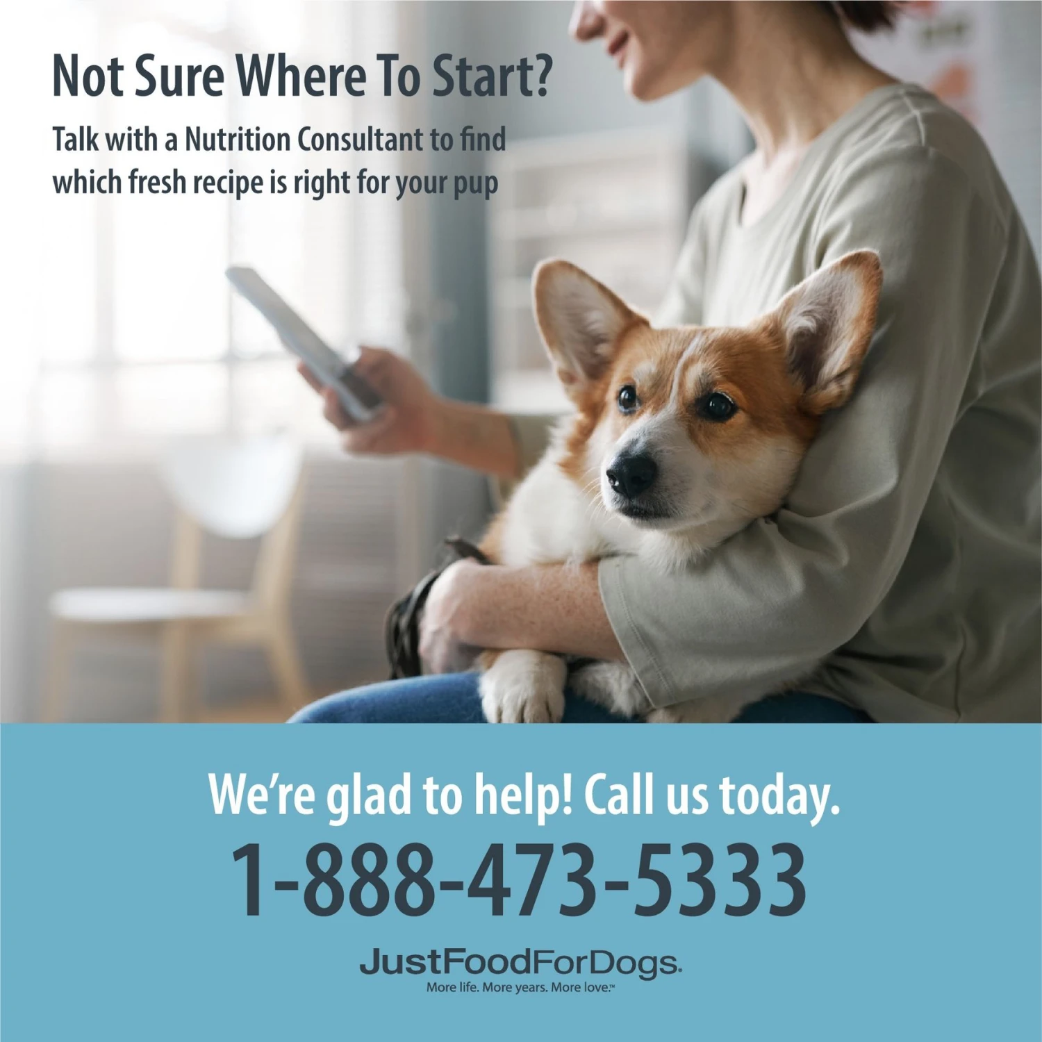 JustFoodForDogs Chicken & White Rice Recipe Frozen Human-Grade Fresh Dog Food 6 JustFoodForDogs Chicken & White Rice Recipe Frozen Human-Grade Fresh Dog Food - Image 4