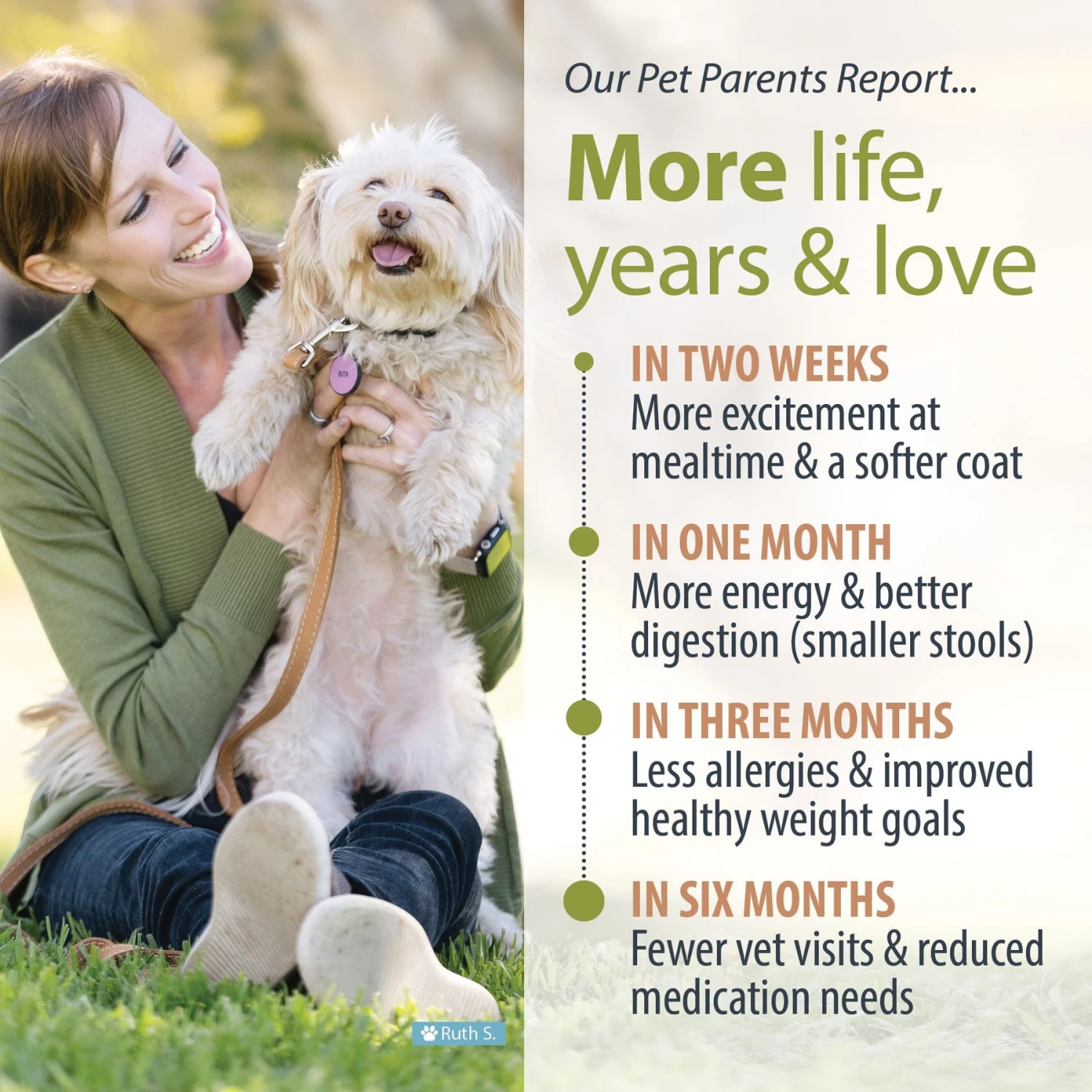 JustFoodForDogs Chicken & White Rice Recipe Frozen Human-Grade Fresh Dog Food 8 JustFoodForDogs Chicken & White Rice Recipe Frozen Human-Grade Fresh Dog Food - Image 6