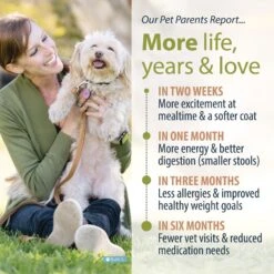 JustFoodForDogs Beef & Russet Potato Recipe Frozen Human-Grade Fresh Dog Food -Snuggle Paws 368089 PT4. AC SS1800 V1696967269