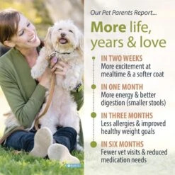 JustFoodForDogs Lamb & Brown Rice Recipe Frozen Human-Grade Fresh Dog Food 15 JustFoodForDogs Lamb & Brown Rice Recipe Frozen Human-Grade Fresh Dog Food -Snuggle Paws 368101 PT4. AC SS1800 V1696967329