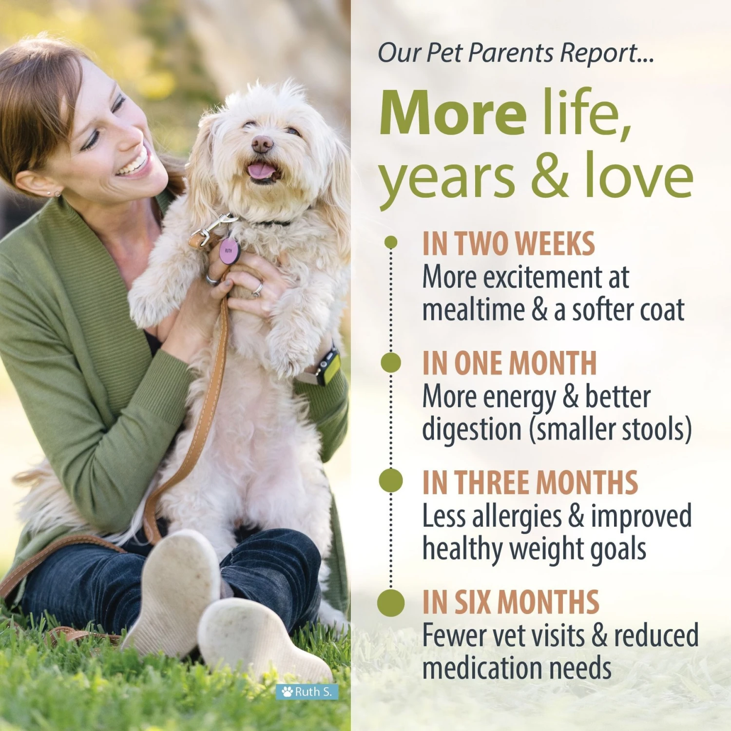 JustFoodForDogs Veterinary Diet Renal Support Low Protein Frozen Human-Grade Fresh Dog Food 8 JustFoodForDogs Veterinary Diet Renal Support Low Protein Frozen Human-Grade Fresh Dog Food - Image 6