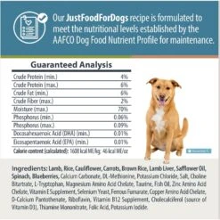 JustFoodForDogs Veterinary Diet Renal Support Low Protein Frozen Human-Grade Fresh Dog Food 17 JustFoodForDogs Veterinary Diet Renal Support Low Protein Frozen Human-Grade Fresh Dog Food -Snuggle Paws 368109 PT6. AC SS1800 V1675368796