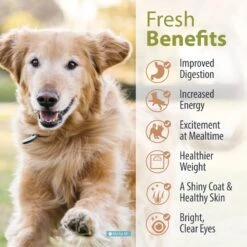 JustFoodForDogs Balanced Remedy Recipe Frozen Human-Grade Fresh Dog Food -Snuggle Paws 368113 PT4. AC SS1800 V1675351725