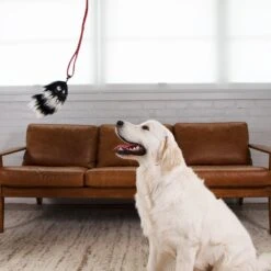 Outward Hound Fox Tail Teaser Wand Dog Toy Replacement Lure -Snuggle Paws 368180 PT5. AC SS1800 V1644529397