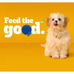 Pedigree Puppy Growth & Protection Chicken & Vegetable Flavor Dry Dog Food 19 Pedigree Puppy Growth & Protection Chicken & Vegetable Flavor Dry Dog Food -Snuggle Paws 368360 PT8. AC SS1800 V1668027276